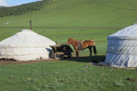 Yourte et cheval d'une famille nomade de Mongolie